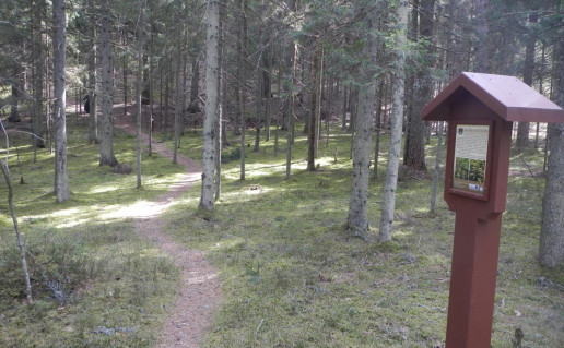 50_Paplateles takas,D. Abrutes n.jpg